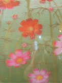 Uttarakhand glass film